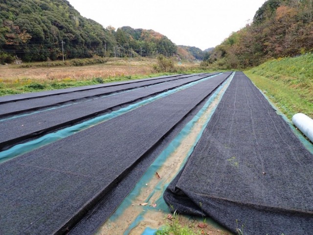 ハイゴケ・スナゴケ等、国産苔の事なら島根県江津市の石州這苔屋へ